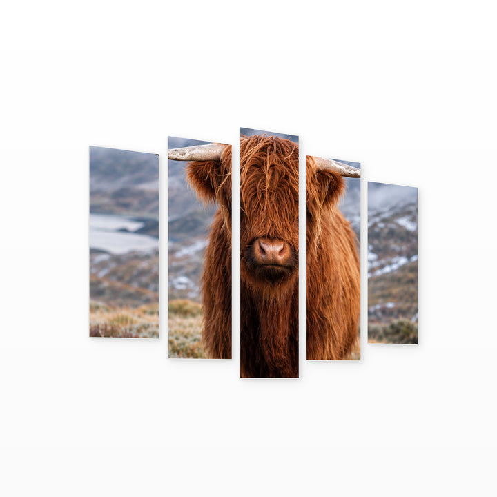 Scottish Calf with Dreamlike Atmosphere — five-panel wall art on white background in perspective | 5wallart 57640 M1