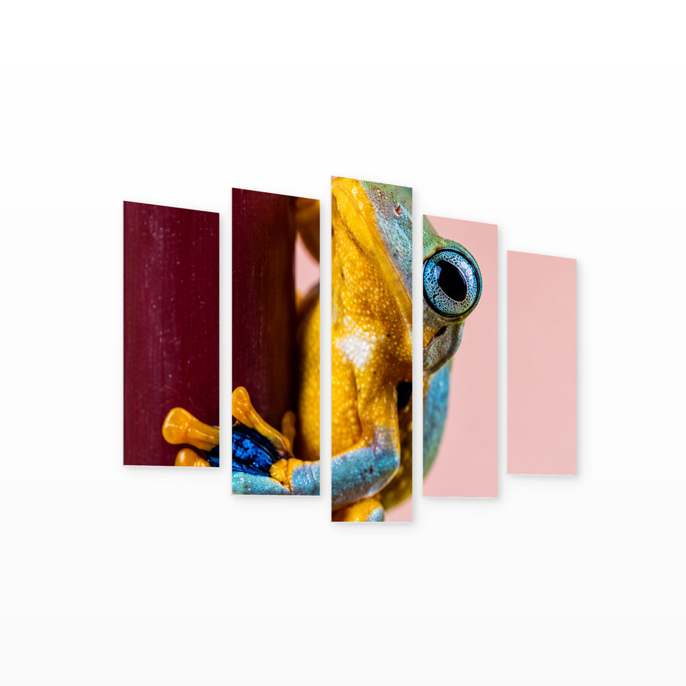 Javan Flying Frog in Blue and Gold — five-panel wall art on white background in perspective | 5wallart 57643 M1