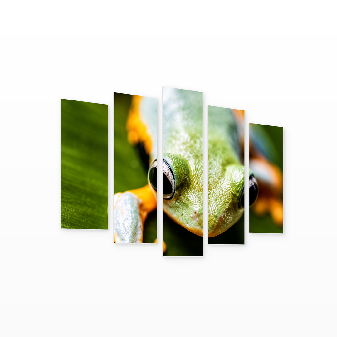 Orange Tree Frog Landscape Study — five-panel wall art on white background in perspective | 5wallart 57644 M1
