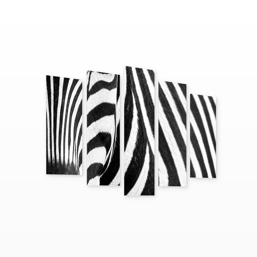 Stroke Me Wildlife Portrait — five-panel wall art on white background in perspective | 5wallart 57645 M1