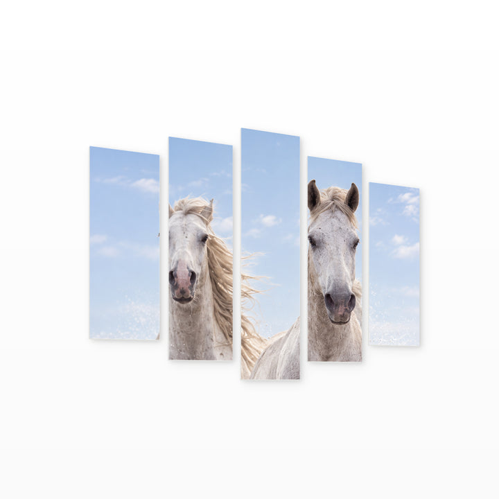 Free Spirit Wildlife Portrait — five-panel wall art on white background in perspective | 5wallart 57646 M1