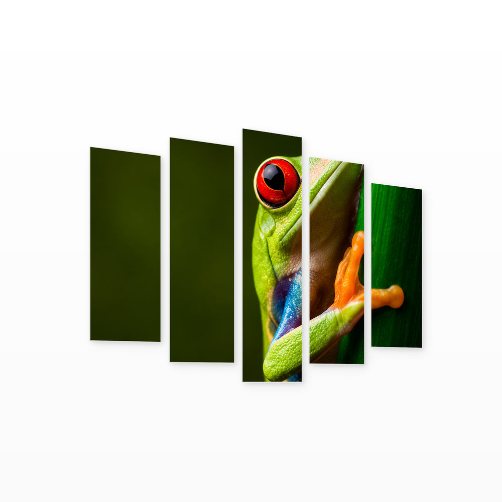 Red-eyed Tree Frog with Dramatic Contrast — five-panel wall art on white background in perspective | 5wallart 57656 M1