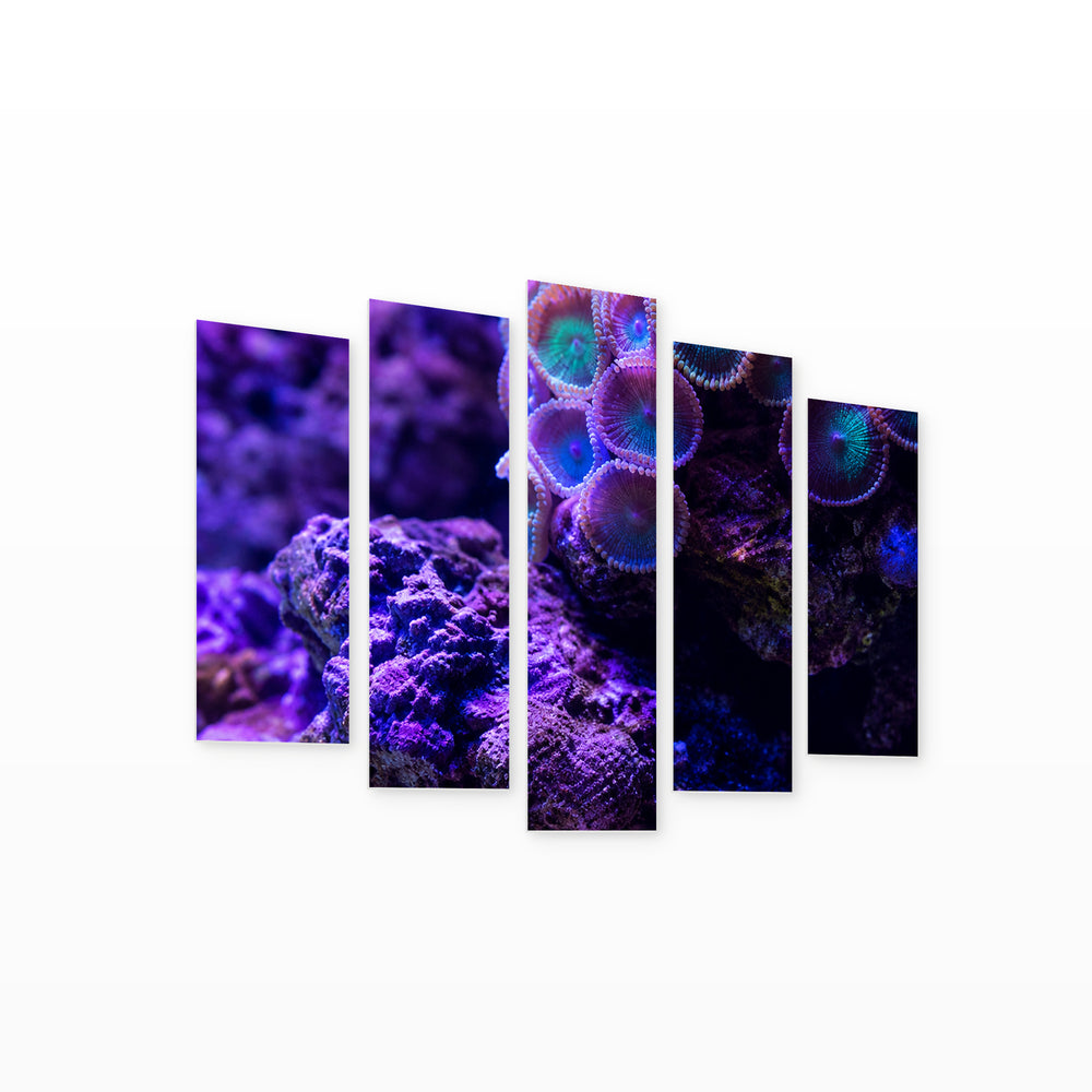 Ocean Floor in Serene Light — five-panel wall art on white background in perspective | 5wallart 57669 M1