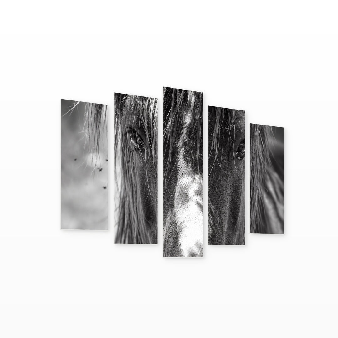 Horse Portrait in Serene Light — five-panel wall art on white background in perspective | 5wallart 57736 M1