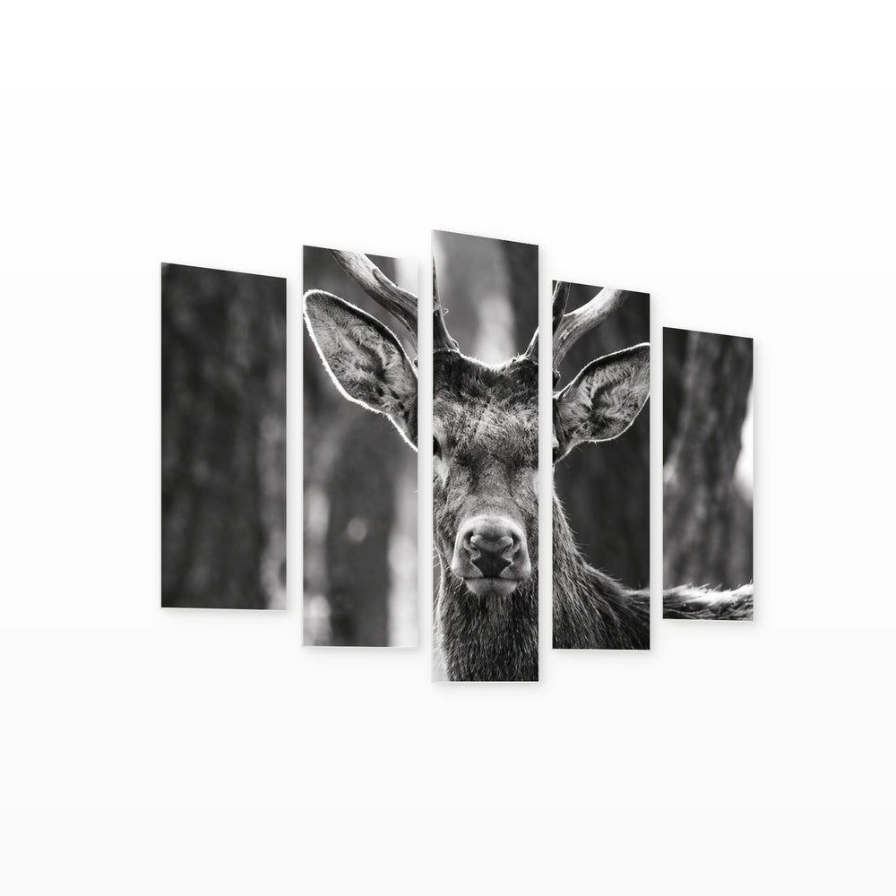 Young Deer in Serene Light II — five-panel wall art on white background in perspective | 5wallart 57738 M1