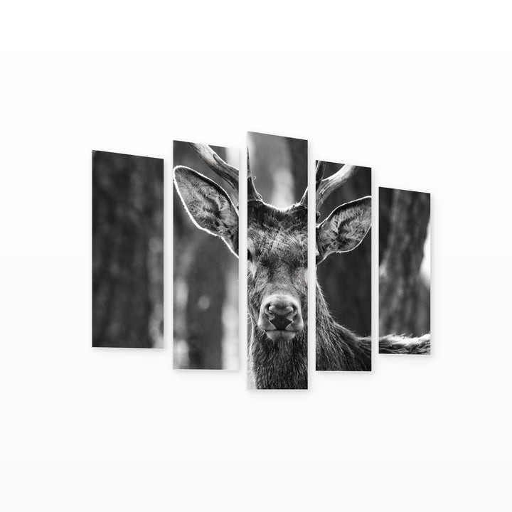 Young Deer in Serene Light II — five-panel wall art on white background in perspective | 5wallart 57738 M1