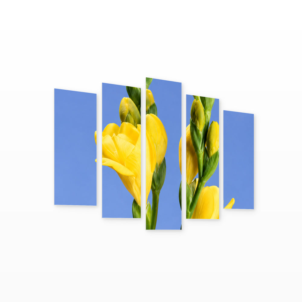 Yellow Freesia with Dramatic Contrast — five-panel wall art on white background in perspective | 5wallart 57756 M1