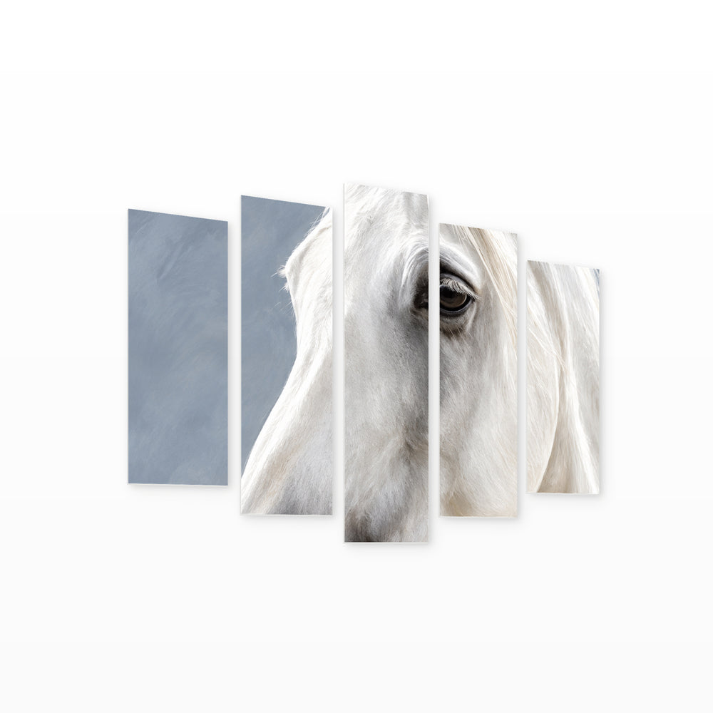 Portrait of a White Horse in Serene Light — five-panel wall art on white background in perspective | 5wallart 57768 M1