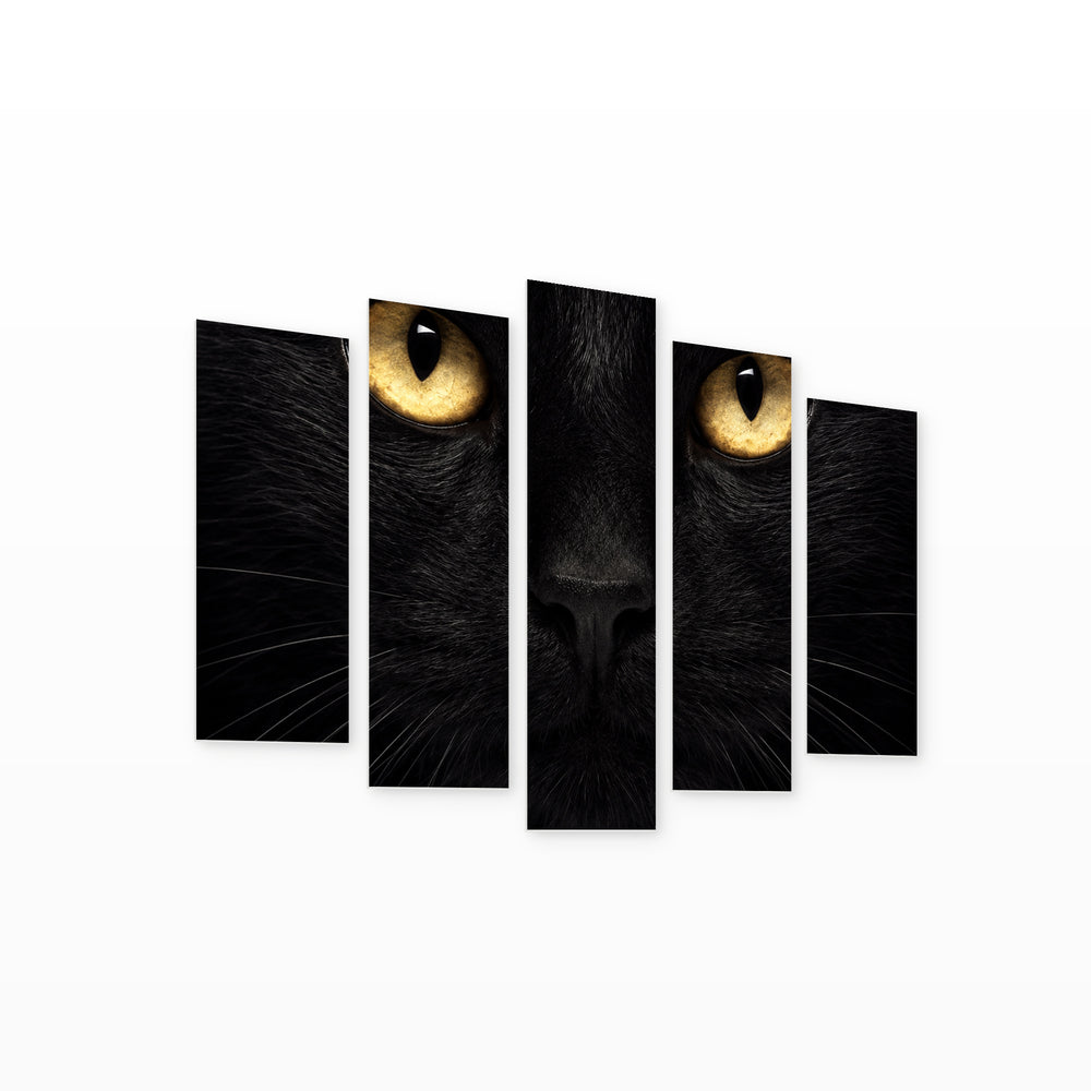 Black Cat in Serene Light — five-panel wall art on white background in perspective | 5wallart 57804 M1