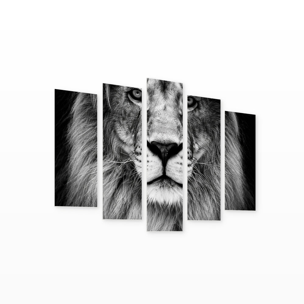 Portrait of a Lion with Dramatic Contrast — five-panel wall art on white background in perspective | 5wallart 57806 M1