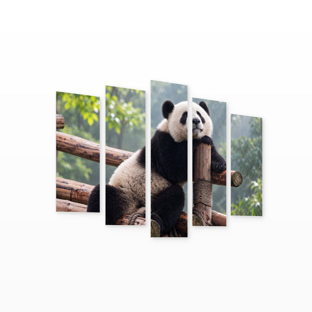 Posing Panda in Black and White — five-panel wall art on white background in perspective | 5wallart 58030 M1