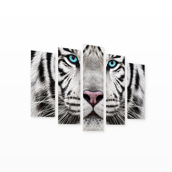 Siberian Tiger 2 in Serene Light — five-panel wall art on white background in perspective | 5wallart 58038 M1