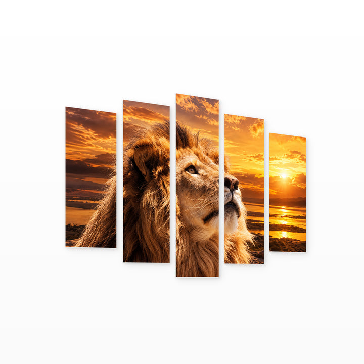 King with Dramatic Contrast — five-panel wall art on white background in perspective | 5wallart 58070 M1