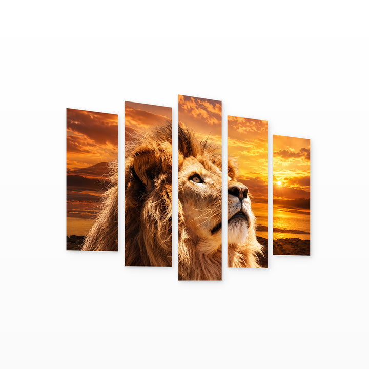 Golden Sunset over Lion — five-panel wall art on white background in perspective | 5wallart 58116 M1