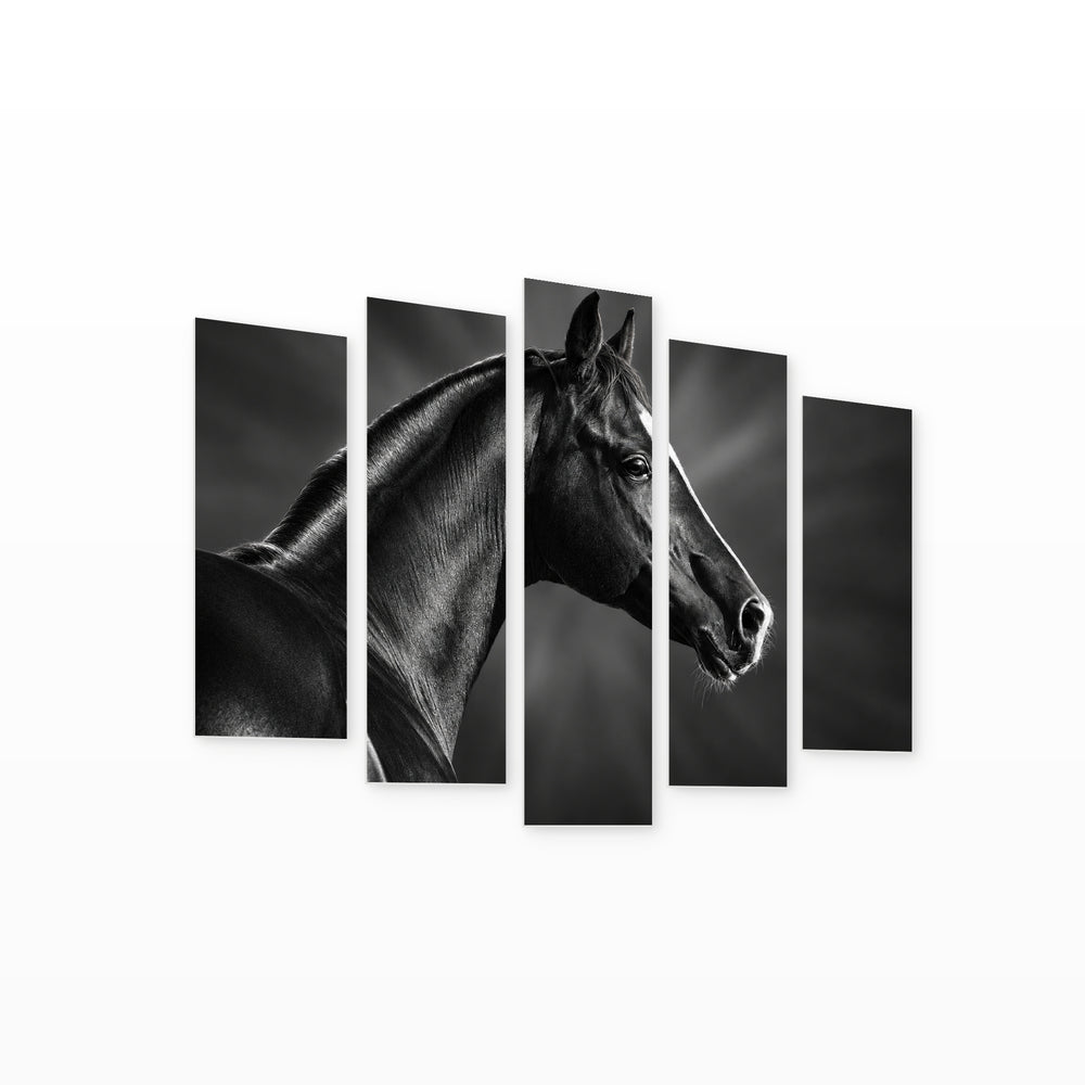 Portrait of a Black Arabian Horse Wildlife Portrait — five-panel wall art on white background in perspective | 5wallart 58138 M1