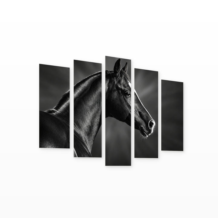 Portrait of a Black Arabian Horse Wildlife Portrait — five-panel wall art on white background in perspective | 5wallart 58138 M1