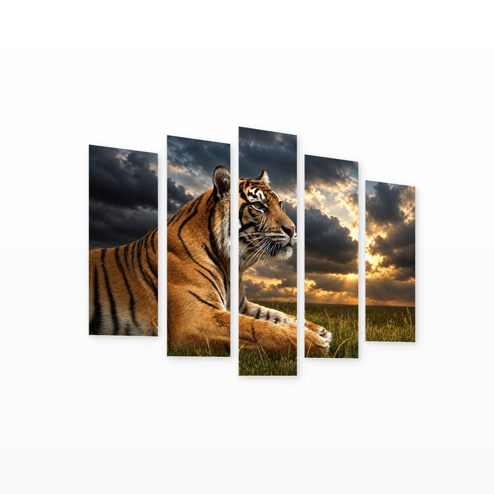 Stalking Tiger with Dramatic Contrast — five-panel wall art on white background in perspective | 5wallart 58141 M1