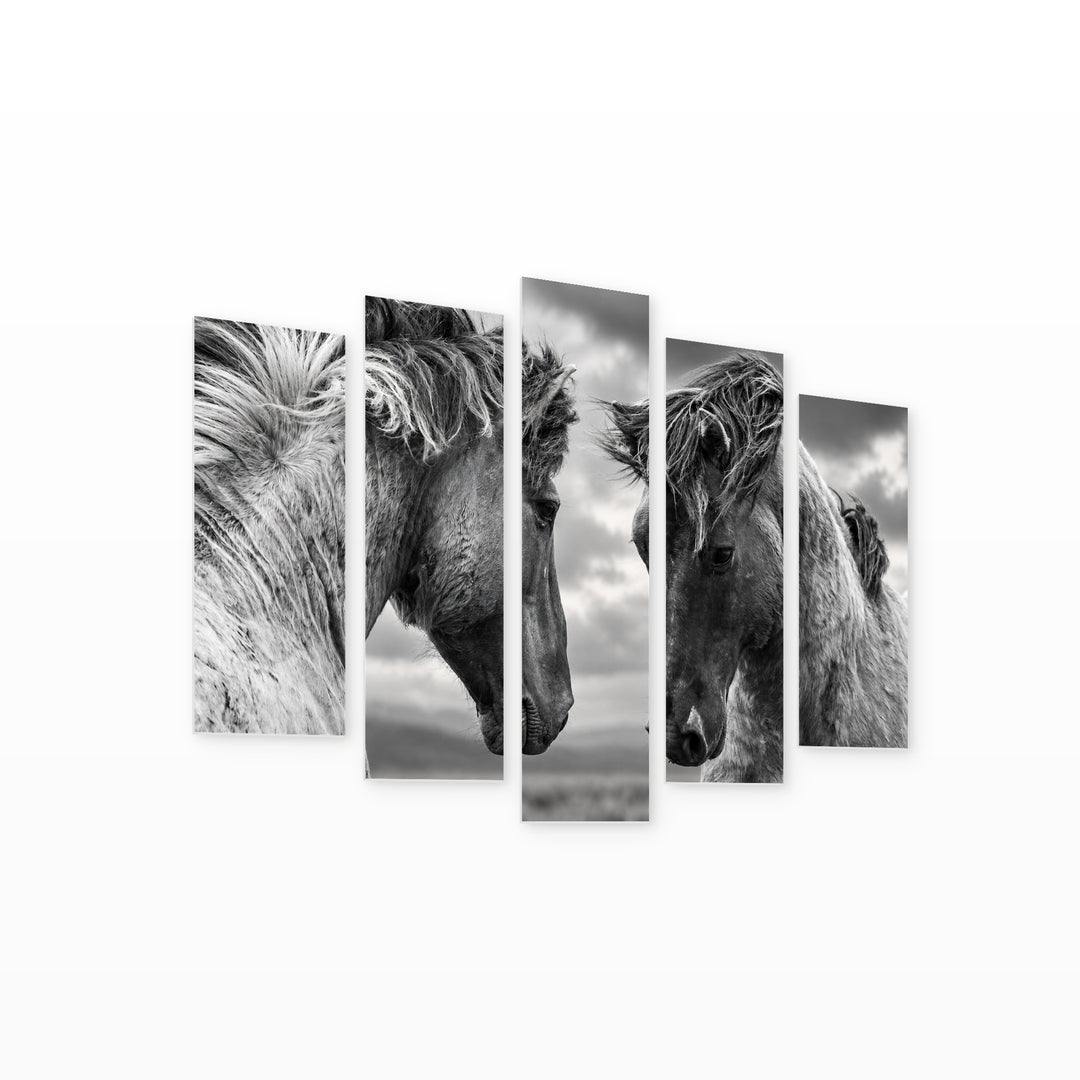 Battle of Horses with Dramatic Contrast — five-panel wall art on white background in perspective | 5wallart 58142 M1
