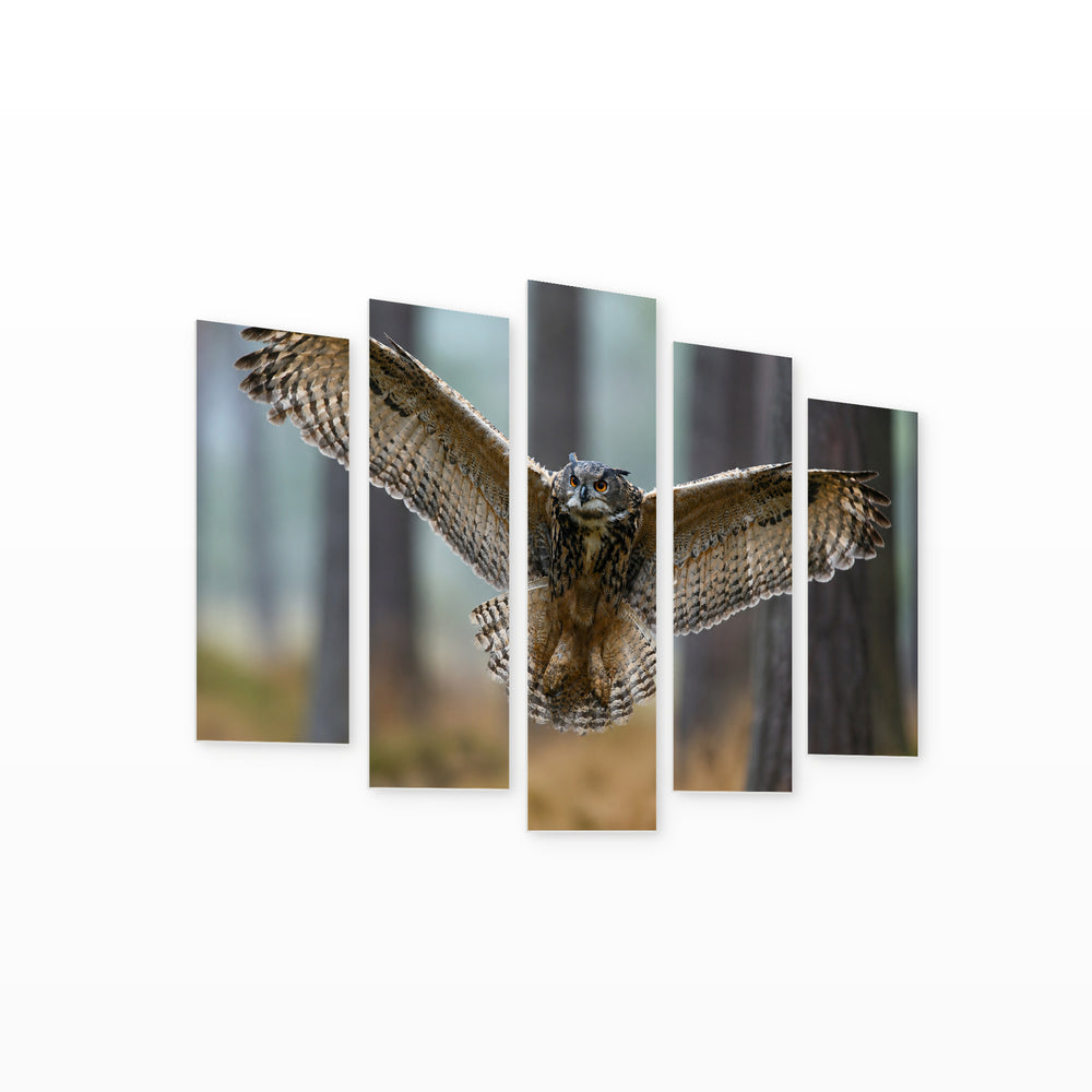 Eurasian Owl at Night — five-panel wall art on white background in perspective | 5wallart 58148 M1