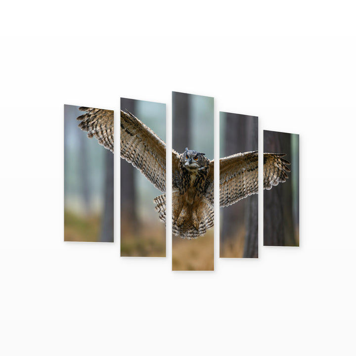 Eurasian Owl at Night — five-panel wall art on white background in perspective | 5wallart 58148 M1