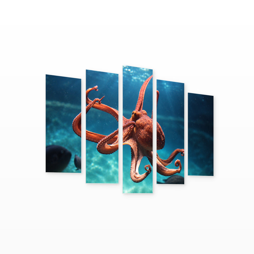 Octopus in Serene Light — five-panel wall art on white background in perspective | 5wallart 58149 M1