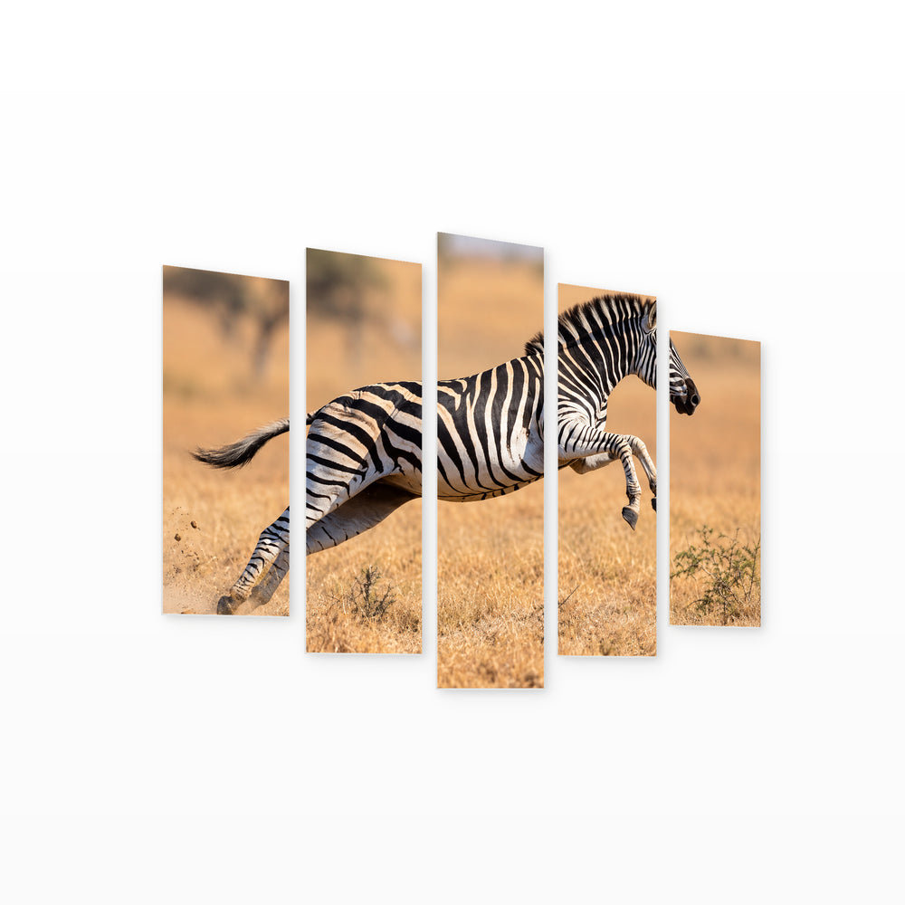 Zebra Running and Jumping in Black and White — five-panel wall art on white background in perspective | 5wallart 58150 M1