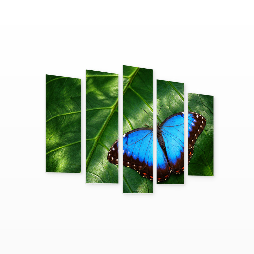 Large Blue Butterfly in Serene Light — five-panel wall art on white background in perspective | 5wallart 58155 M1