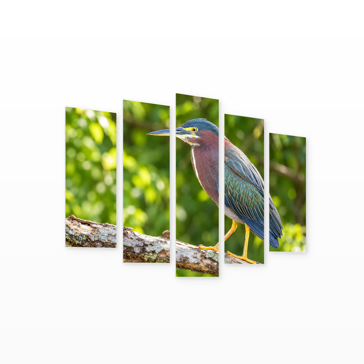 Green Heron Sitting on a Tree Landscape Study — five-panel wall art on white background in perspective | 5wallart 58159 M1
