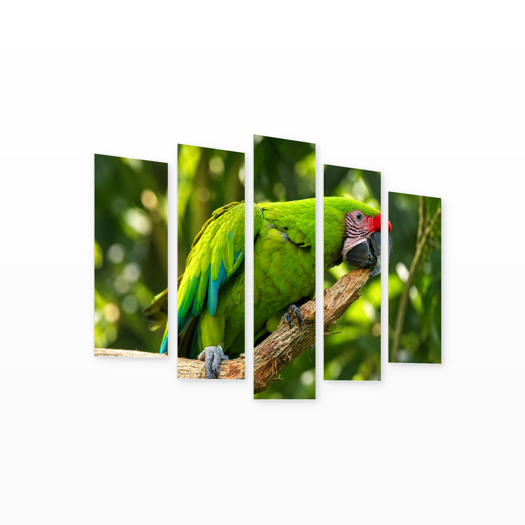 Green Parrot on a Branch in Serene Light — five-panel wall art on white background in perspective | 5wallart 58162 M1