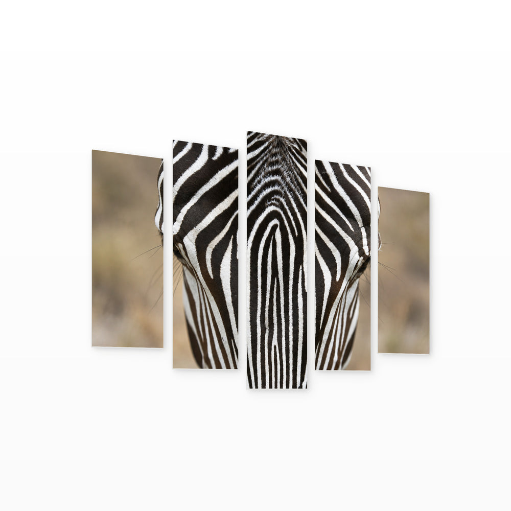 Zebra in Black and White — five-panel wall art on white background in perspective | 5wallart 58165 M1
