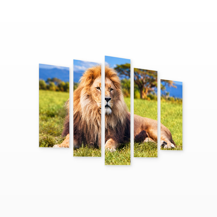Lion in Vivid Color — five-panel wall art on white background in perspective | 5wallart 58171 M1