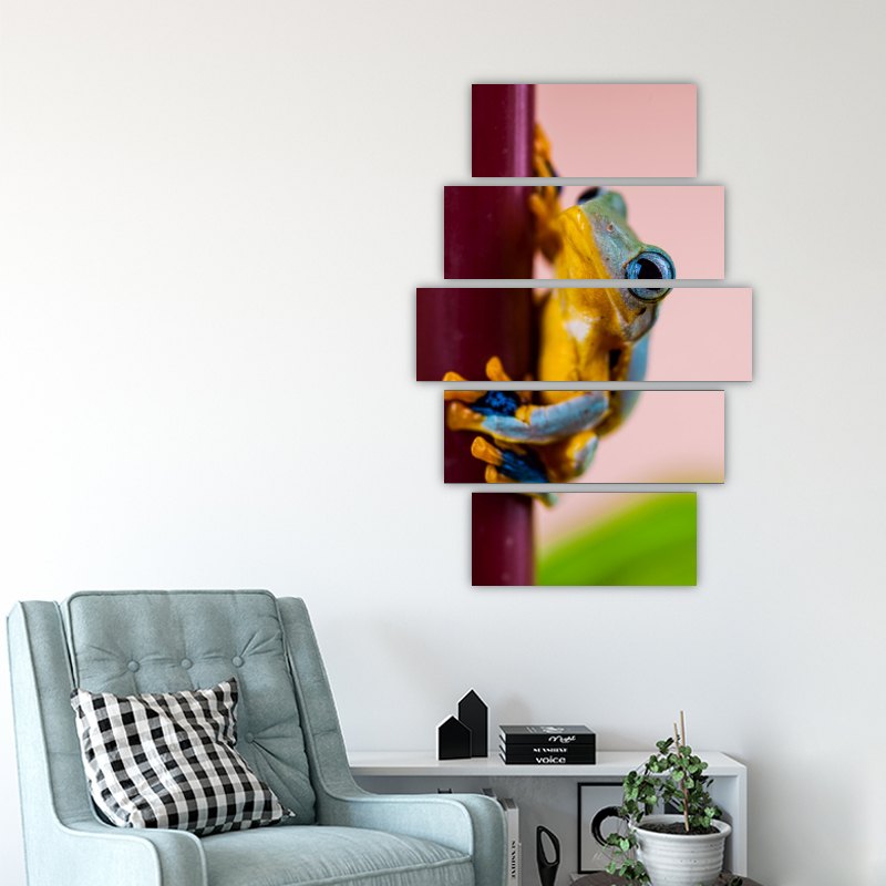 Javan Flying Frog – five-piece modular wall art