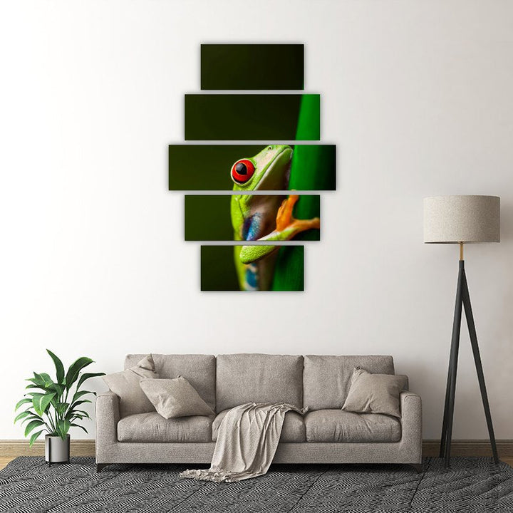 Red-Eyed Tree Frog – five-piece modular wall art