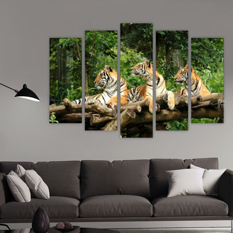 Bengal Tigers – five-piece modular wall art