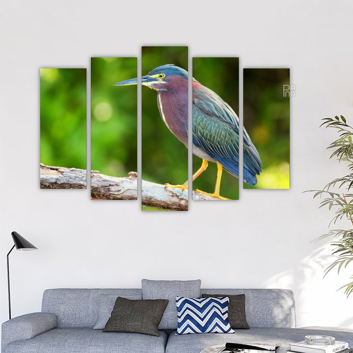 Green Heron Sitting on a Tree – reference image 2