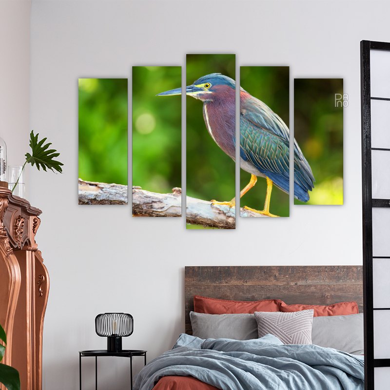 Green Heron Sitting on a Tree – reference image 3
