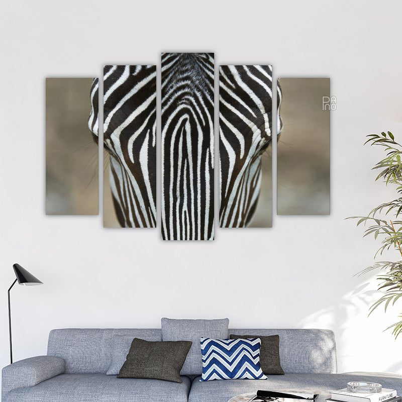 Zebra – reference image 2