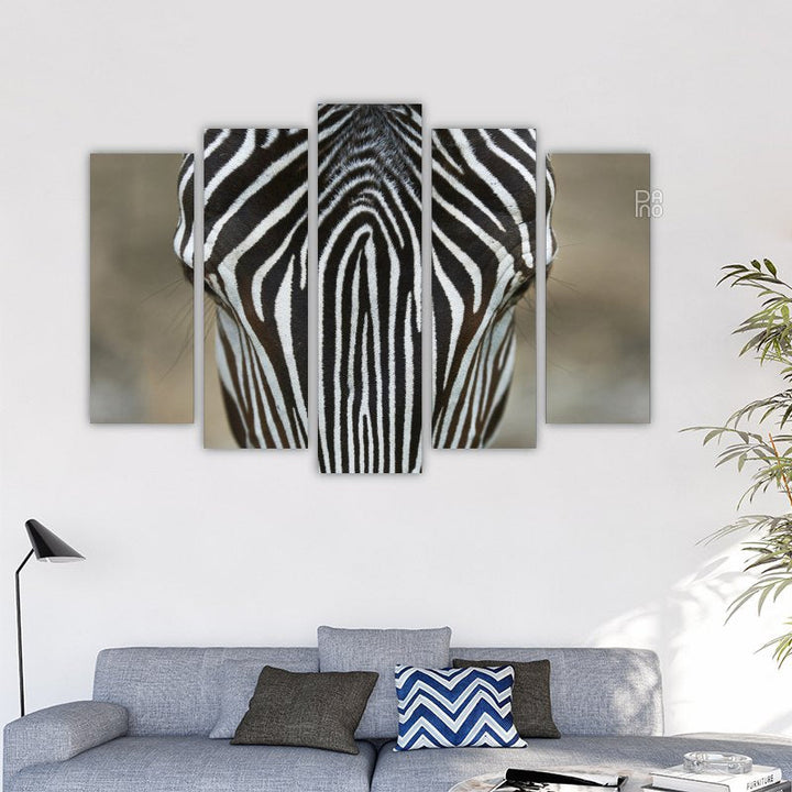 Zebra – reference image 2