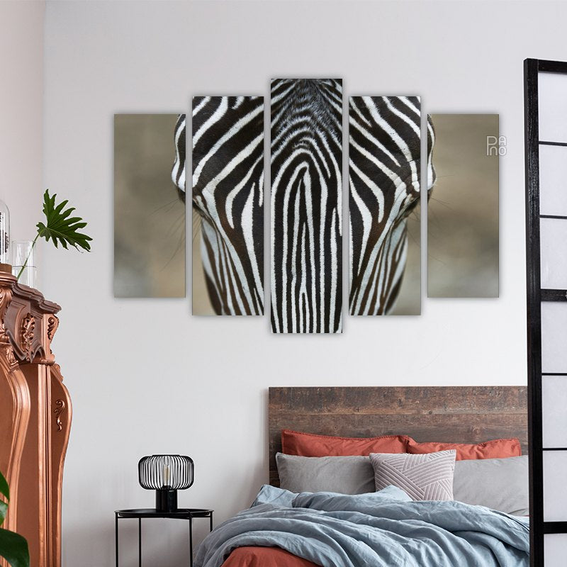 Zebra – reference image 3